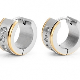 steel earring E0101