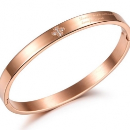 steel bracelet WB0034