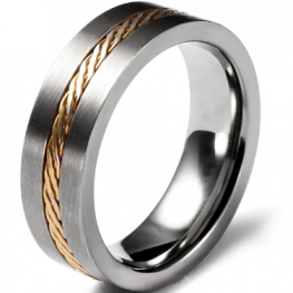 titanium ring RS40601