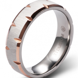 titanium ring RS40560