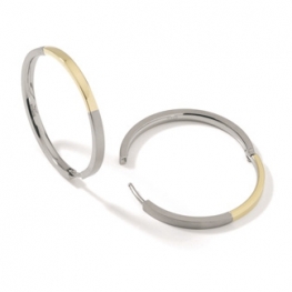 titanium earring E0069
