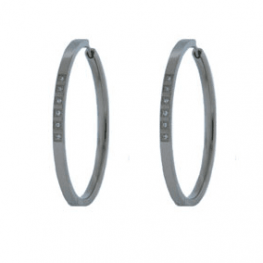 titanium earring E0104