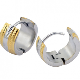 titanium earring E0124