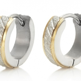 titanium earring E0127