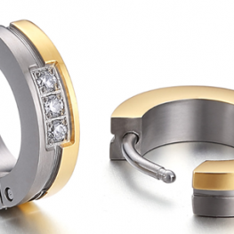 titanium earring E0291