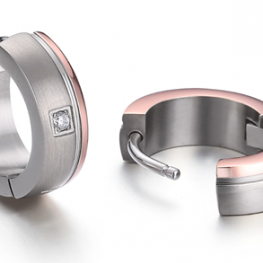 titanium earring E0275