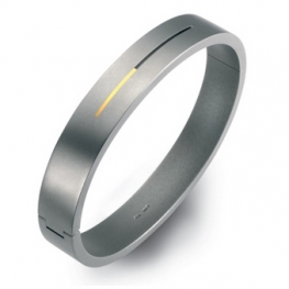 titanium bangle BS0013