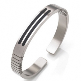 titanium bangle BS0022