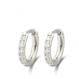titanium earring E0590