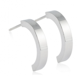 titanium earring E0604