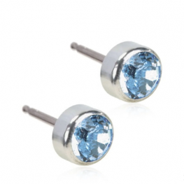 titanium earring E0610