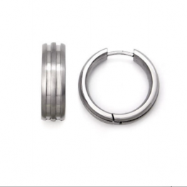titanium earring E0611