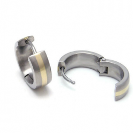 titanium earring E0616