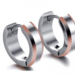 titanium earring E0617