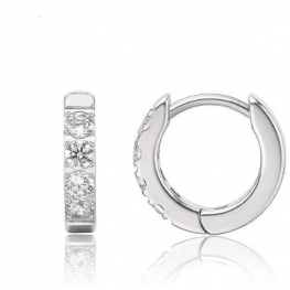 titanium earring E0618