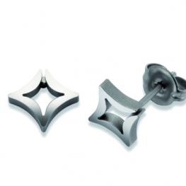 titanium earring E0621