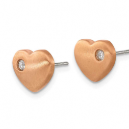 titanium earring E0628