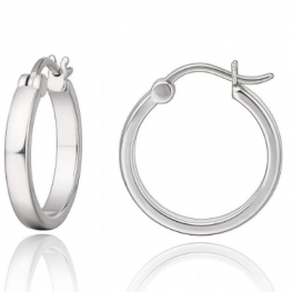 titanium earring E0630