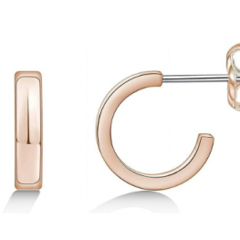 titanium earring E0639