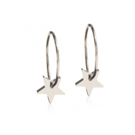 titanium earring E0641