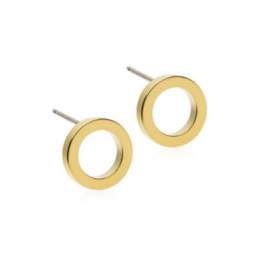 titanium earring E0643